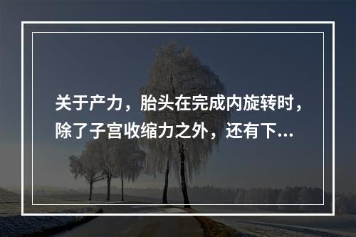 关于产力，胎头在完成内旋转时，除了子宫收缩力之外，还有下述哪