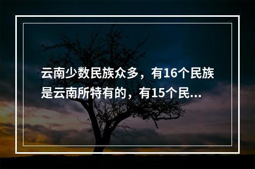 云南少数民族众多，有16个民族是云南所特有的，有15个民族跨