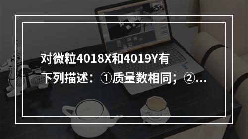 对微粒4018X和4019Y有下列描述：①质量数相同；②核外