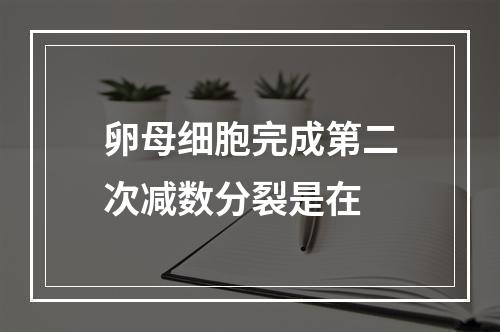 卵母细胞完成第二次减数分裂是在