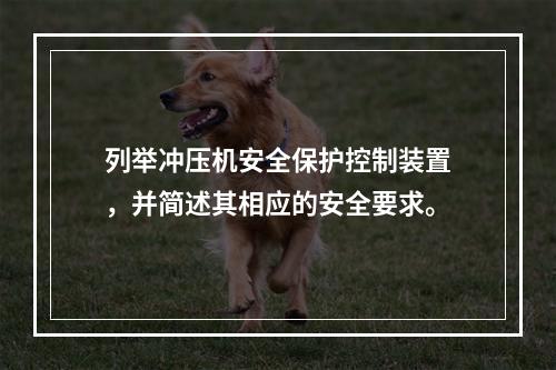 列举冲压机安全保护控制装置，并简述其相应的安全要求。