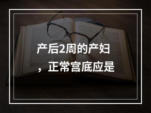 产后2周的产妇，正常宫底应是