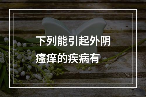 下列能引起外阴瘙痒的疾病有