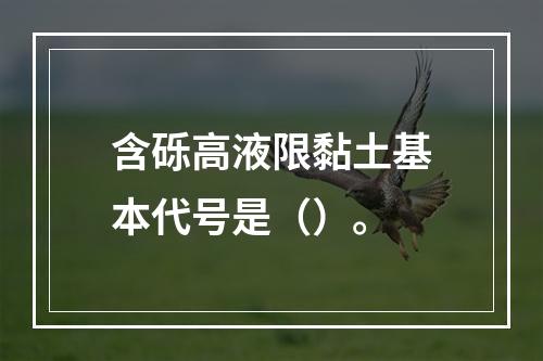 含砾高液限黏土基本代号是（）。