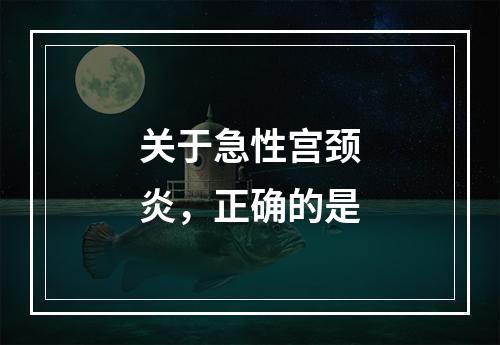 关于急性宫颈炎，正确的是