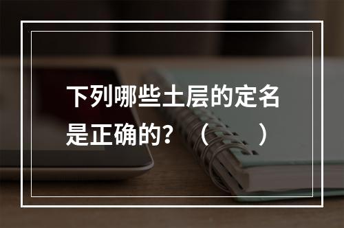 下列哪些土层的定名是正确的？（　　）