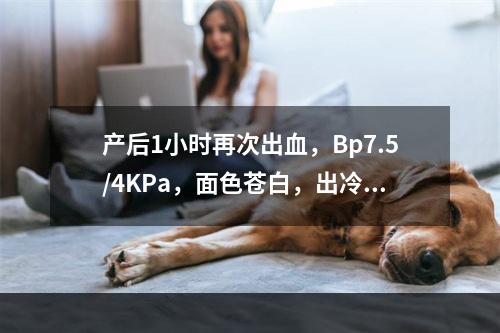 产后1小时再次出血，Bp7.5/4KPa，面色苍白，出冷汗，