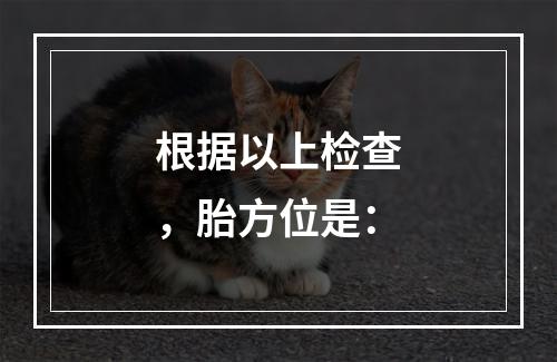 根据以上检查，胎方位是：