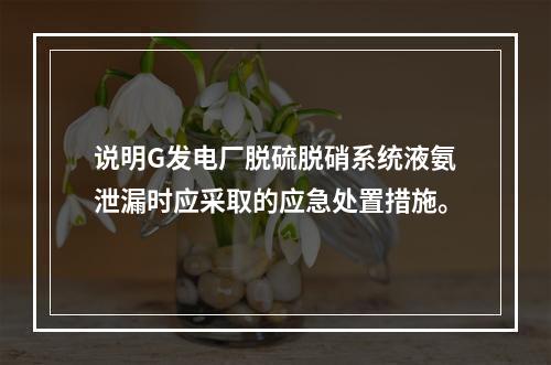 说明G发电厂脱硫脱硝系统液氨泄漏时应采取的应急处置措施。