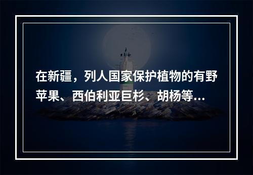 在新疆，列人国家保护植物的有野苹果、西伯利亚巨杉、胡杨等20