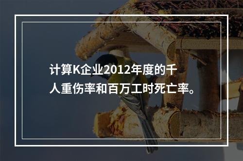 计算K企业2012年度的千人重伤率和百万工时死亡率。