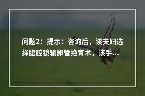 问题2：提示：咨询后，该夫妇选择腹腔镜输卵管绝育术。该手术方