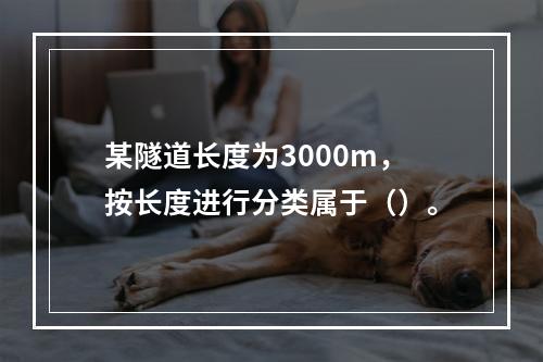 某隧道长度为3000m，按长度进行分类属于（）。