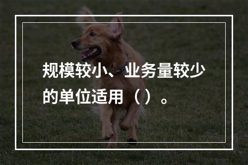 规模较小、业务量较少的单位适用（ ）。