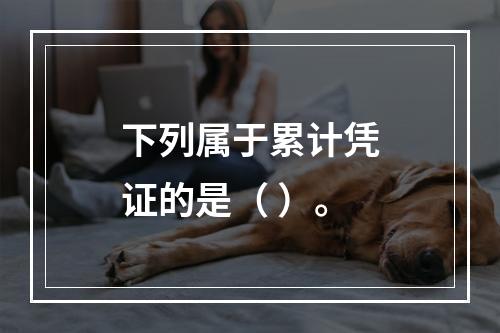 下列属于累计凭证的是（ ）。