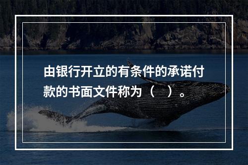 由银行开立的有条件的承诺付款的书面文件称为（　）。