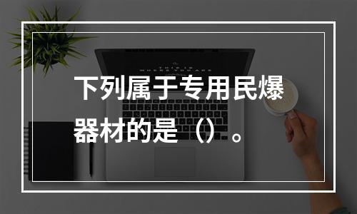 下列属于专用民爆器材的是（）。