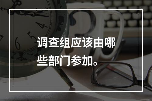 调查组应该由哪些部门参加。