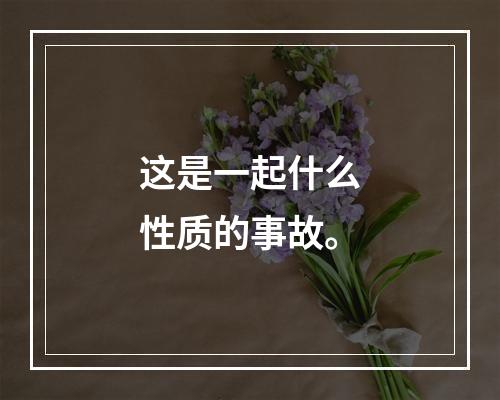 这是一起什么性质的事故。