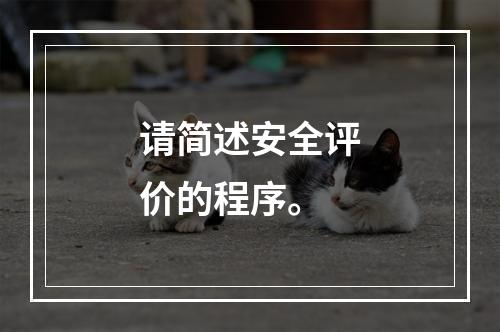 请简述安全评价的程序。