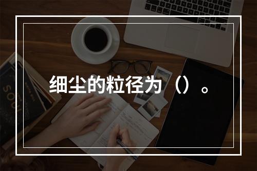 细尘的粒径为（）。