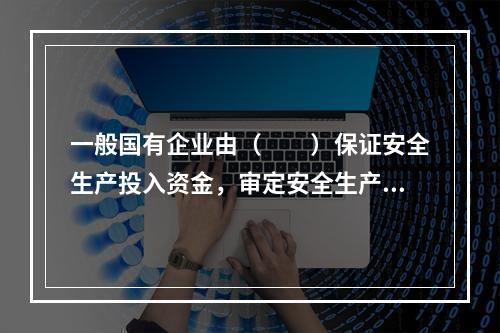 一般国有企业由（　　）保证安全生产投入资金，审定安全生产规划