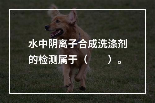 水中阴离子合成洗涤剂的检测属于（　　）。