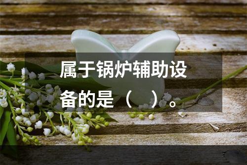 属于锅炉辅助设备的是（　）。