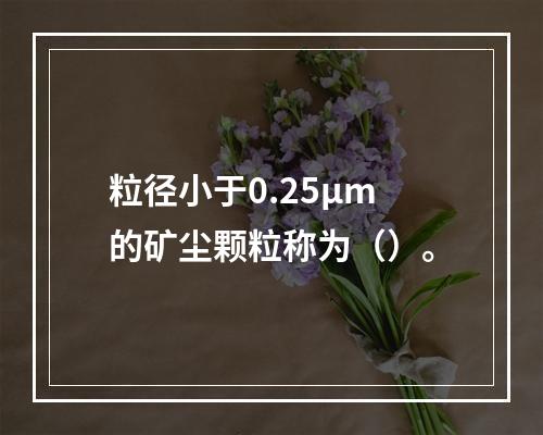 粒径小于0.25μm的矿尘颗粒称为（）。