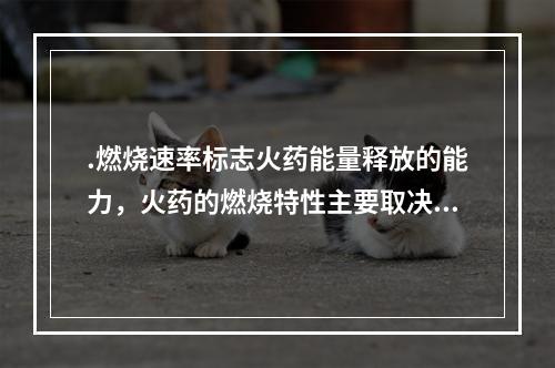 .燃烧速率标志火药能量释放的能力，火药的燃烧特性主要取决于火