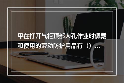 甲在打开气柜顶部人孔作业时佩戴和使用的劳动防护用品有（）。