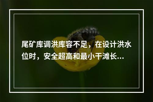 尾矿库调洪库容不足，在设计洪水位时，安全超高和最小干滩长度均