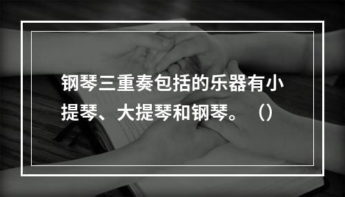 钢琴三重奏包括的乐器有小提琴、大提琴和钢琴。（）