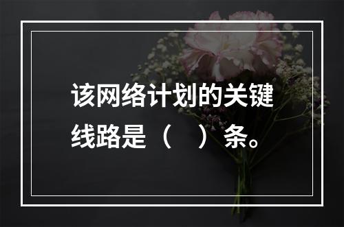 该网络计划的关键线路是（　）条。