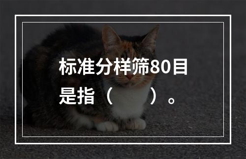 标准分样筛80目是指（　　）。