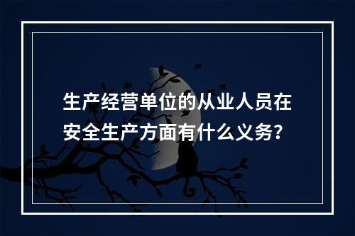 生产经营单位的从业人员在安全生产方面有什么义务？