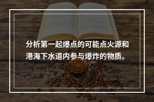 分析第一起爆点的可能点火源和港海下水道内参与爆炸的物质。