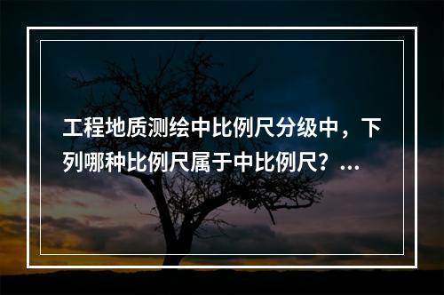 工程地质测绘中比例尺分级中，下列哪种比例尺属于中比例尺？（