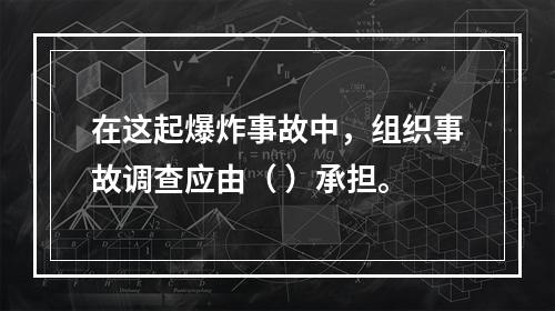 在这起爆炸事故中，组织事故调查应由（	）承担。