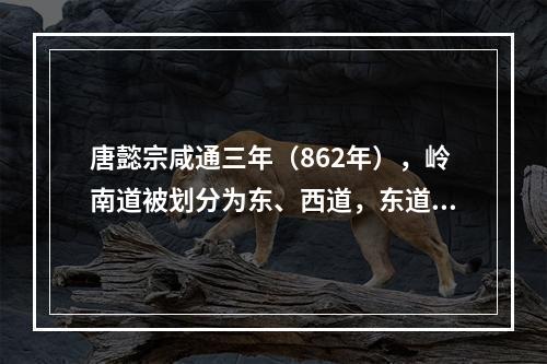 唐懿宗咸通三年（862年），岭南道被划分为东、西道，东道治广