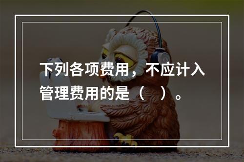 下列各项费用，不应计入管理费用的是（　）。