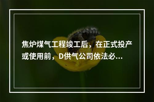 焦炉煤气工程竣工后，在正式投产或使用前，D供气公司依法必须开