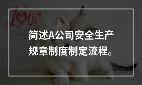 简述A公司安全生产规章制度制定流程。