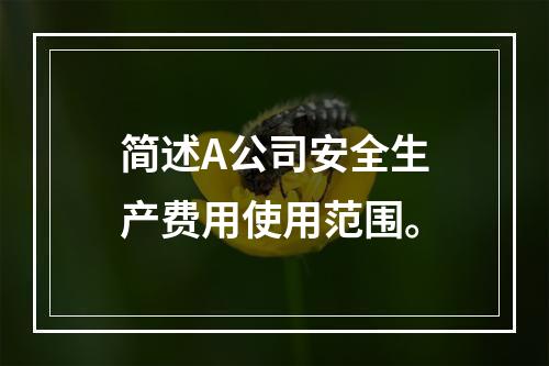 简述A公司安全生产费用使用范围。