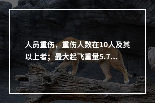 人员重伤，重伤人数在10人及其以上者；最大起飞重量5.7t(