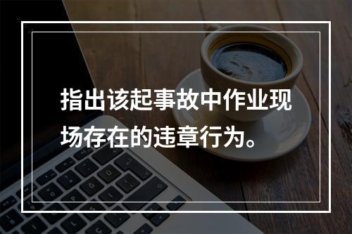 指出该起事故中作业现场存在的违章行为。