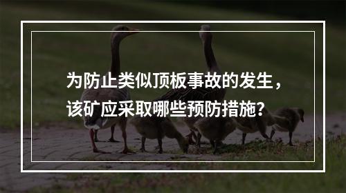 为防止类似顶板事故的发生，该矿应采取哪些预防措施？