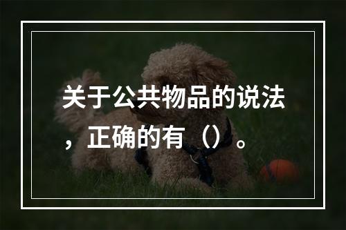 关于公共物品的说法，正确的有（）。