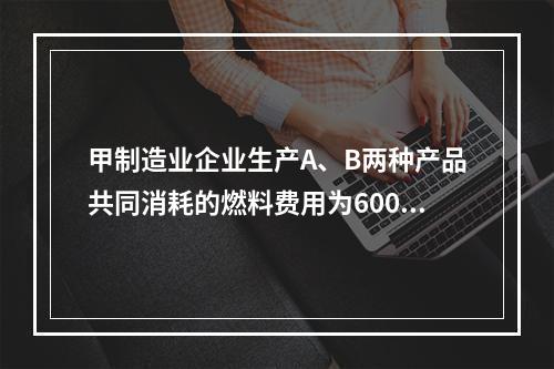 甲制造业企业生产A、B两种产品共同消耗的燃料费用为6000元