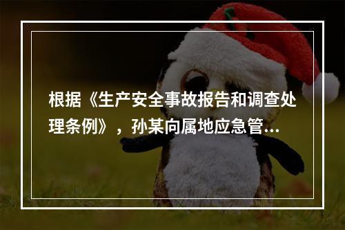 根据《生产安全事故报告和调查处理条例》，孙某向属地应急管理部